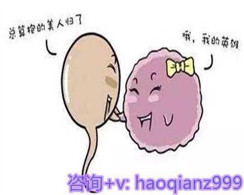 胎停后五项必查项目解析与孕期关键检查指南