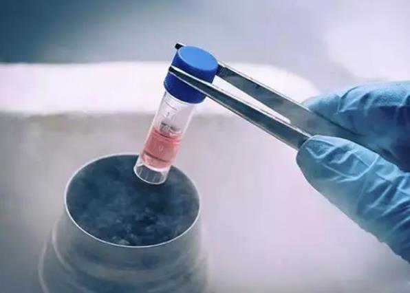 石家庄专业试管助孕机构成功率有多高