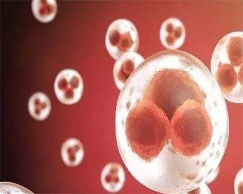 备孕男士发烧是否影响怀孕及检查项目