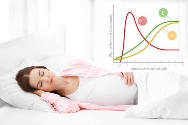 河南试管婴儿助孕机构(河南试管婴儿助孕机构排行榜)