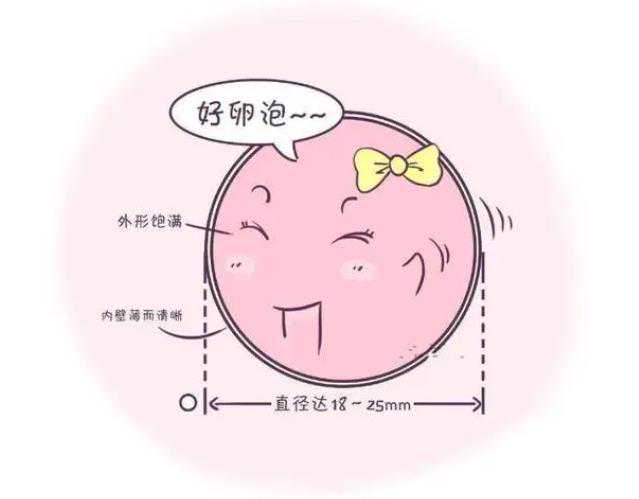 南京供卵试管排队多久可以取卵+国外借卵生子普遍,徐州三大助孕公司是哪三家