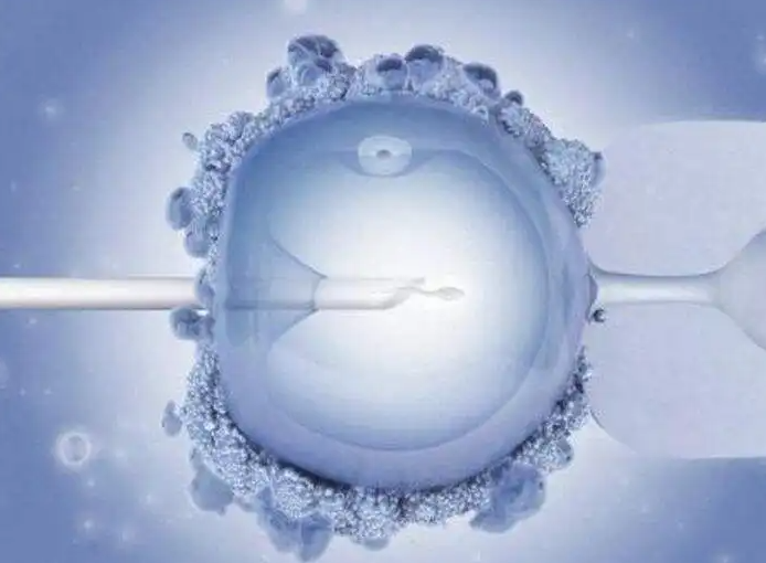 国内试管助孕公司的成功率如何