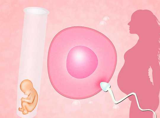 第三代供卵试管费用深度解析：正规辅助生殖机构的收费标准与流程一览