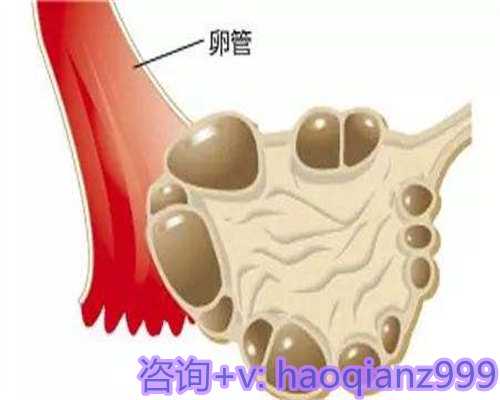 第三代试管助孕费用深度解析：开启您的生育之旅