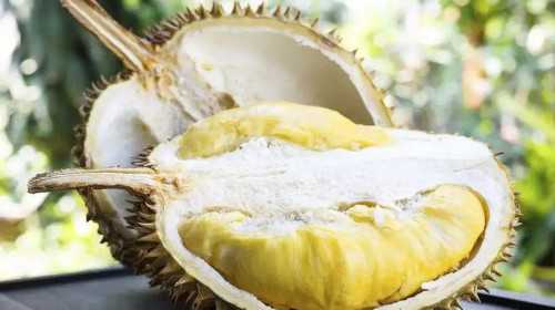 湖北子宫内膜厚度正常范围及周期变化解析