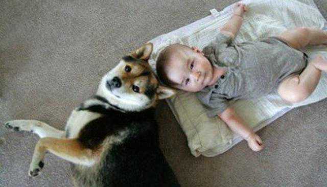 正规助孕机构三代试管婴儿多少钱(深圳三代试管助孕)