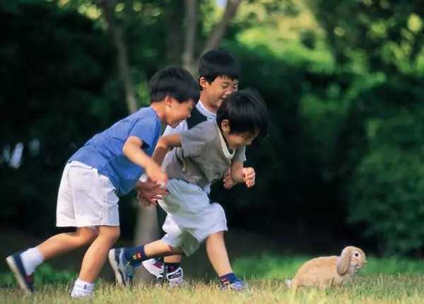 广州第三代试管医院：做泰国供卵试管婴儿，成功率有多高？