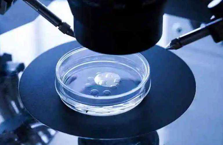 南京供卵试管助孕费用解析：轻松掌握辅助生殖各项开销！