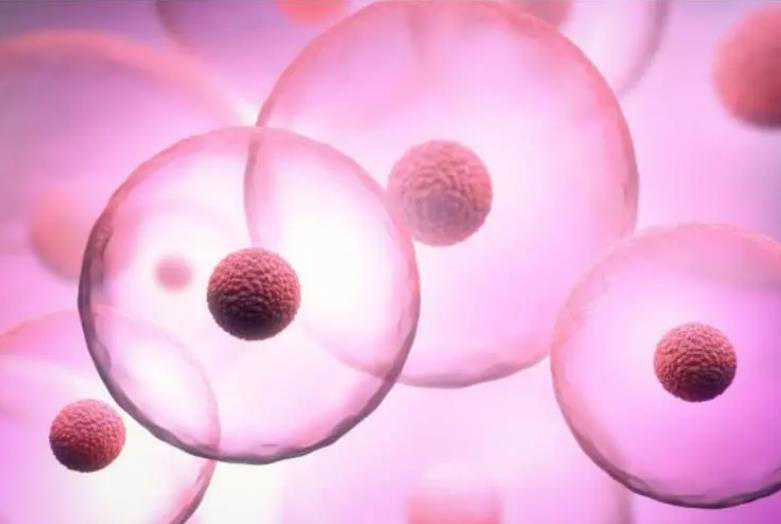 备孕期间发烧应对指南与护理方法