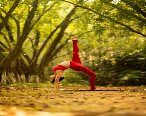 南京机构代怀生子+单身泰国洗精试管,盐城助孕中心公司哪里比较好